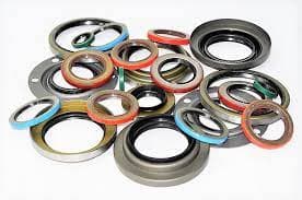 Oil Seals
